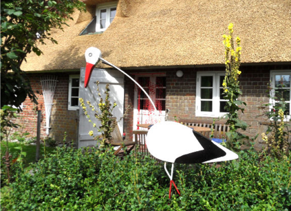 Storch